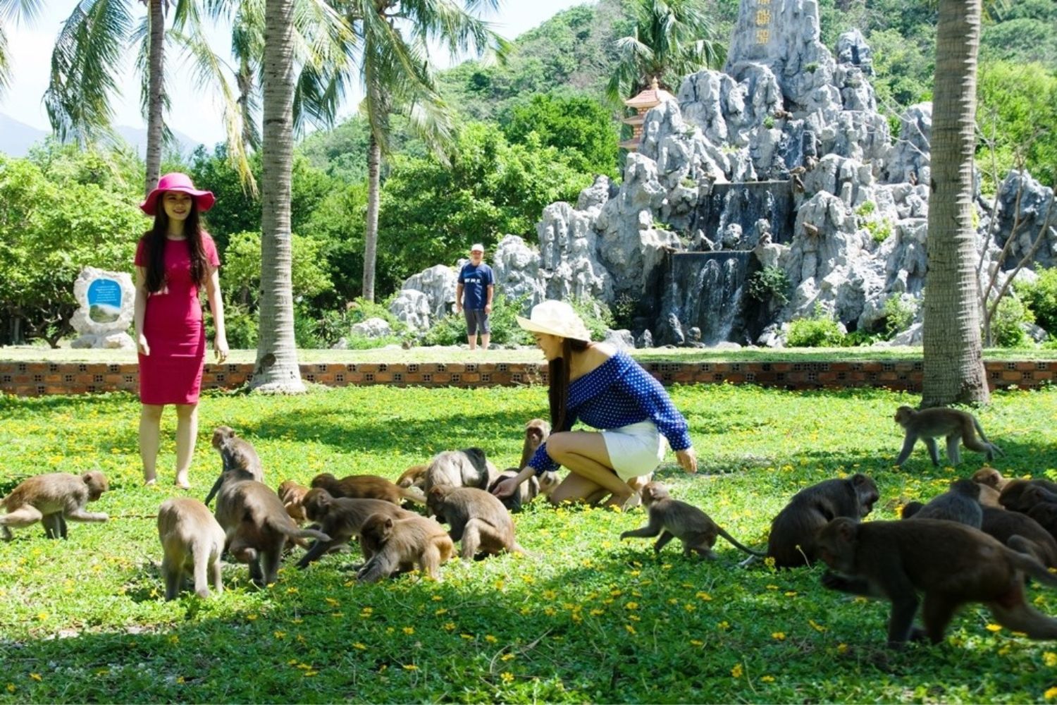 đảo khỉ đảo hoa lan