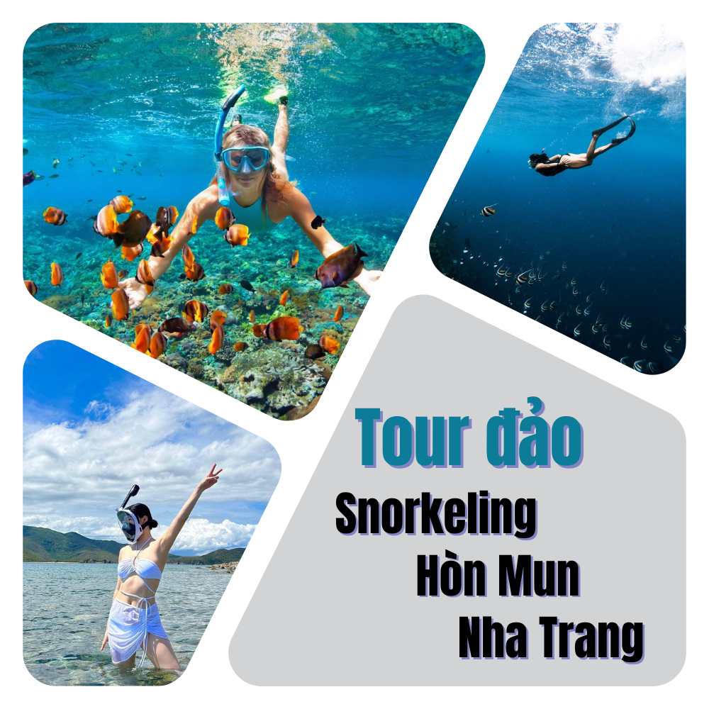 đảo khỉ đảo hoa lan